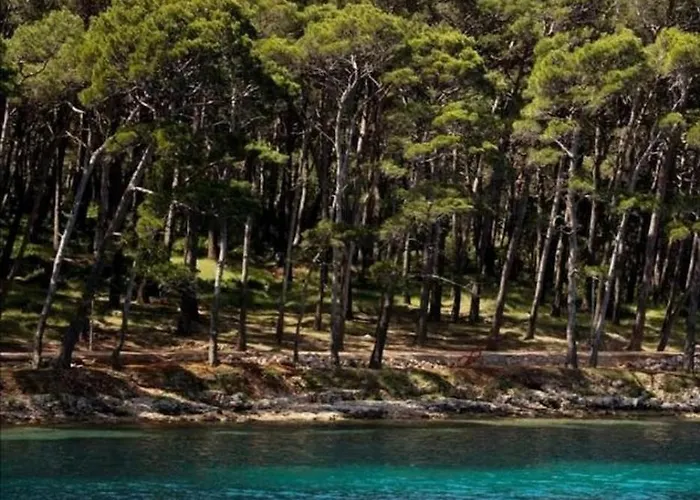 公寓 Apartments Mali Losinj