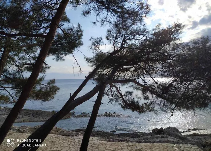 Apartments Mali Losinj 公寓